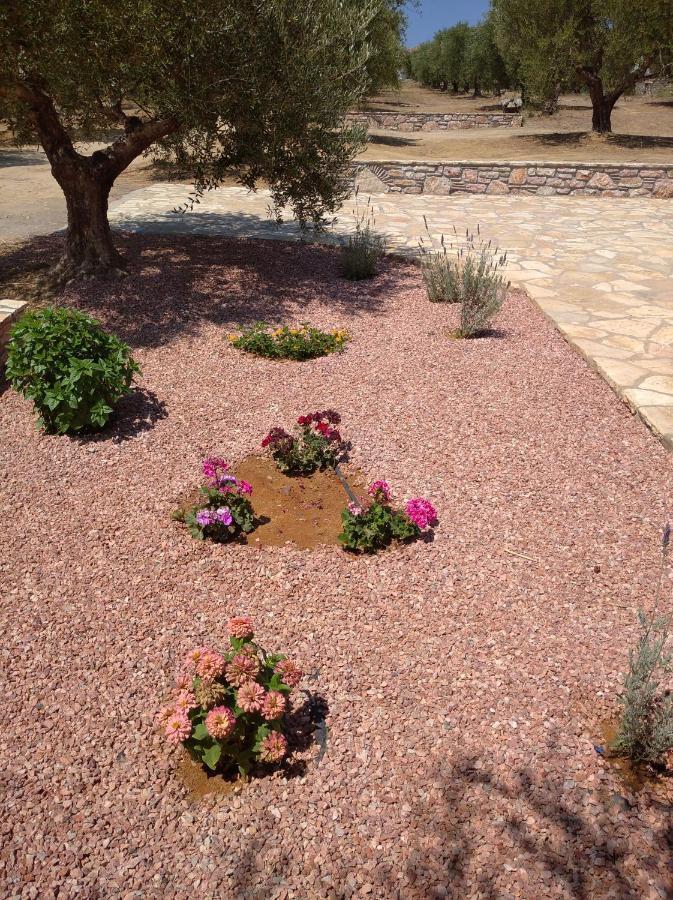 Aggeliki House 5 Villa Кисамос Екстериор снимка
